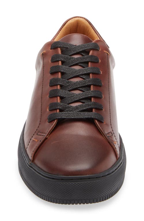 Frye Astor Sneaker In Mahogany