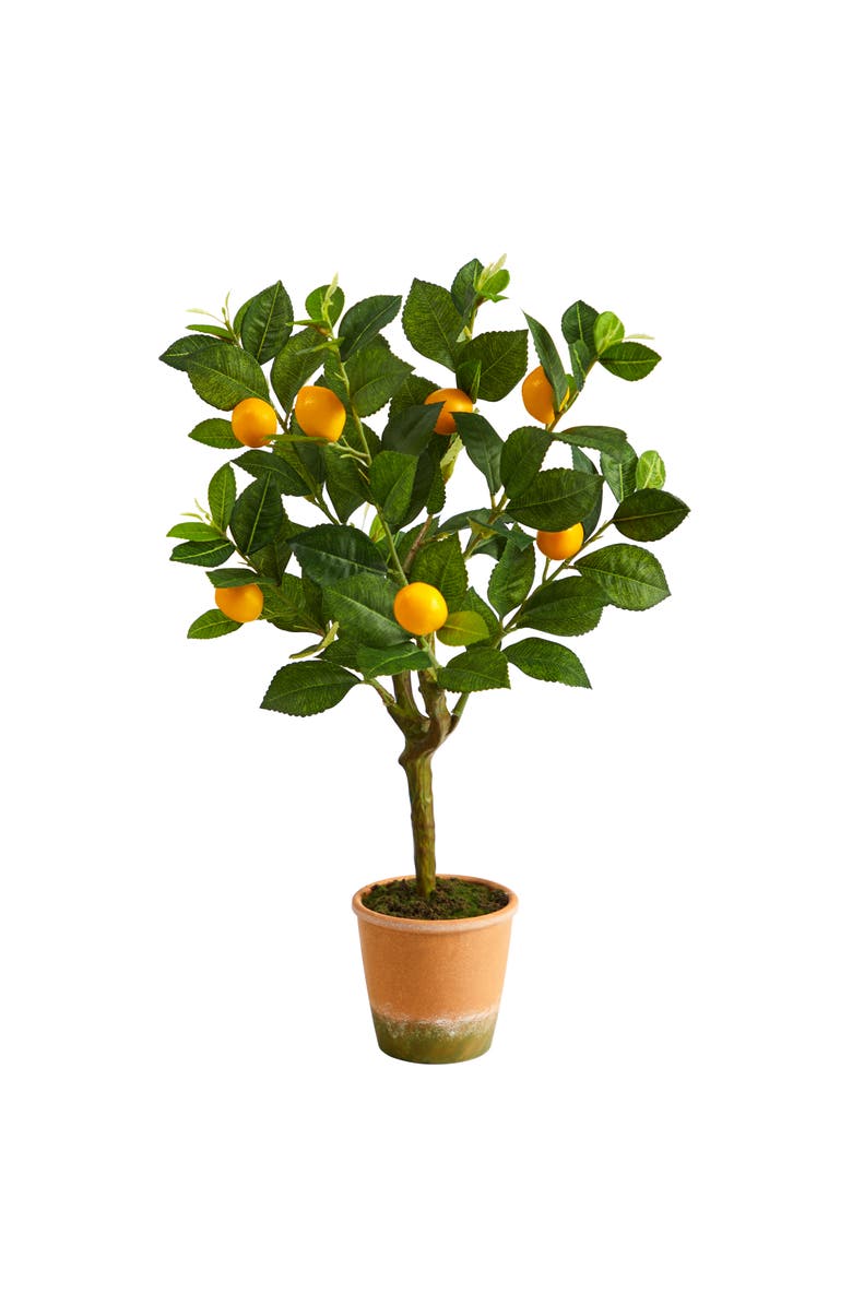 NEARLY NATURAL 24-in Lemon Artificial Tree, Main, color, Green