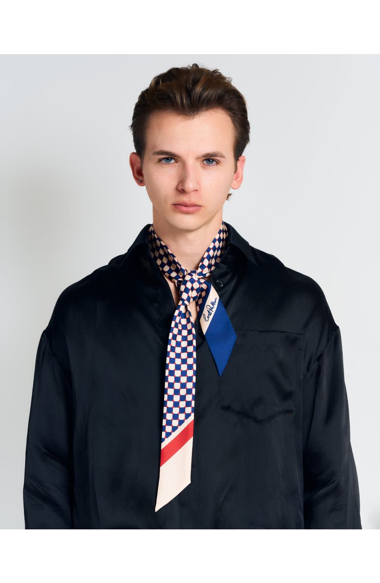 Lost Pattern CHECKERBOARD SILK SKINNY SCARF, Alternate, color, Blue