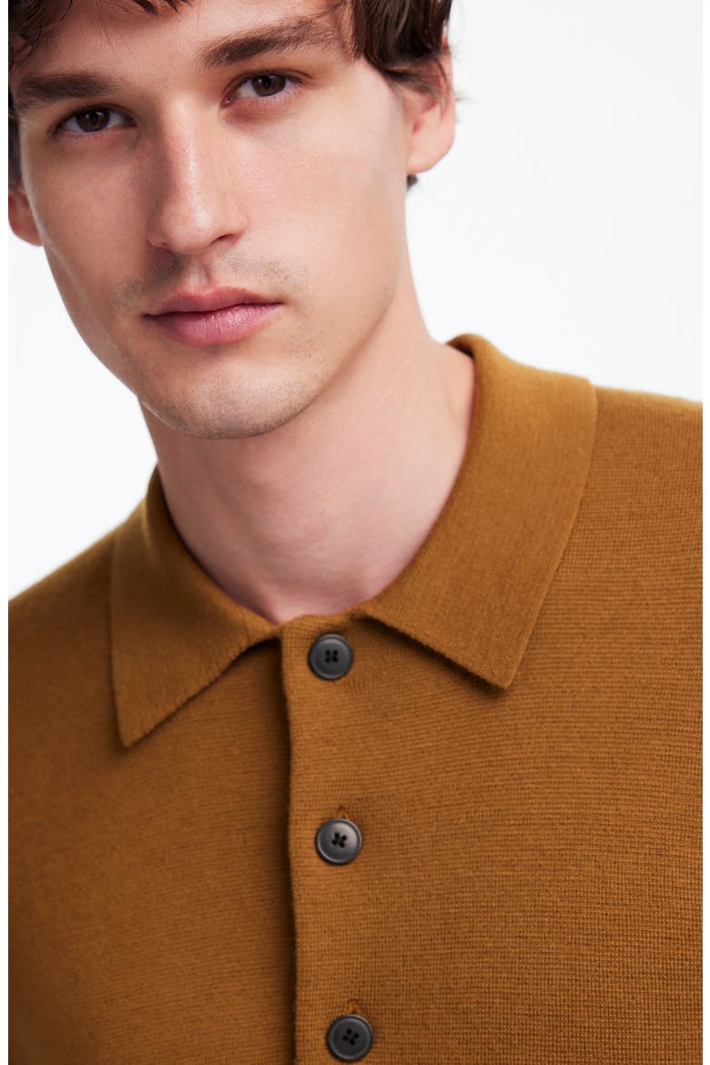 Three-Button Merino Wool Polo Sweater, Alternate, color, RICH CAMEL