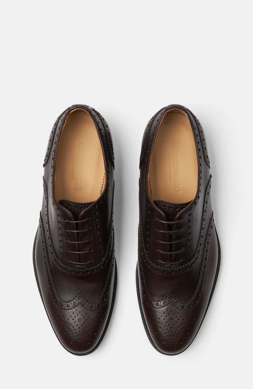 Scarosso Philip Oxfords