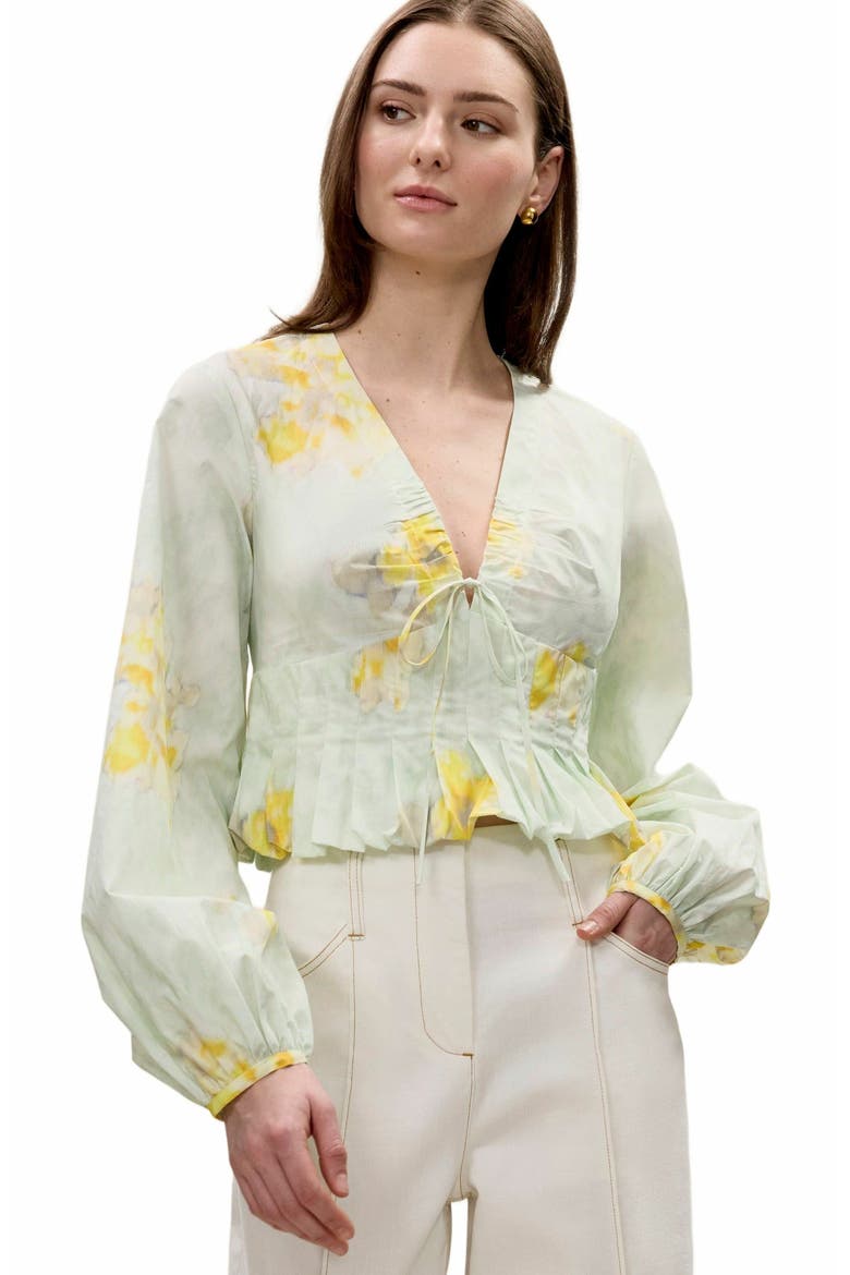 Yara Poplin Blouse, Alternate, color, SAGE COMBO