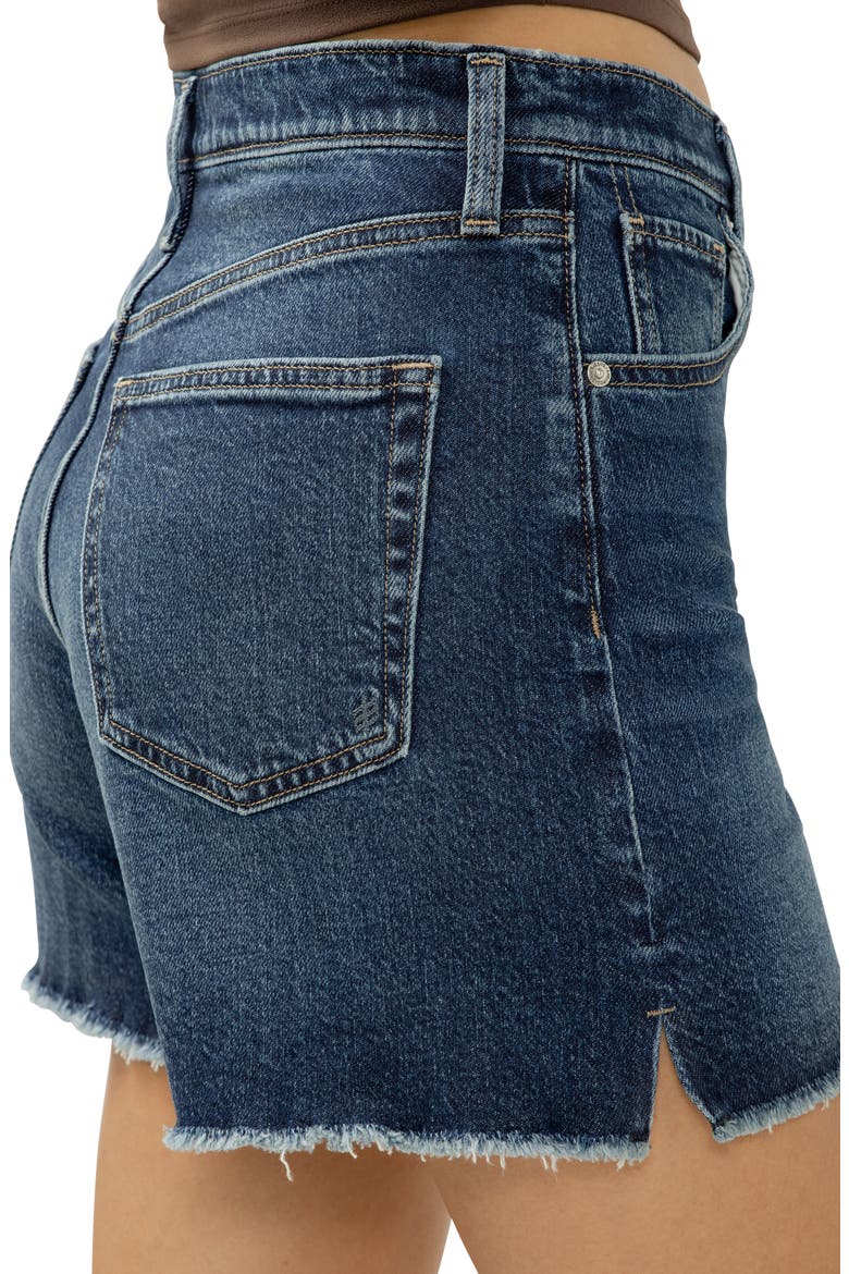 Highly Desirable Denim Shorts, Alternate, color, PIMLICO