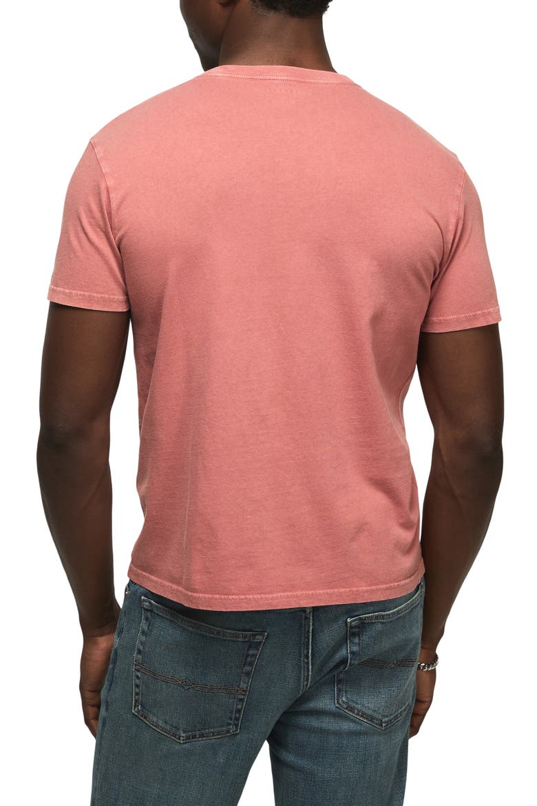 Metal Mayhem Cotton Graphic T-Shirt, Alternate, color, WITHERED ROSE