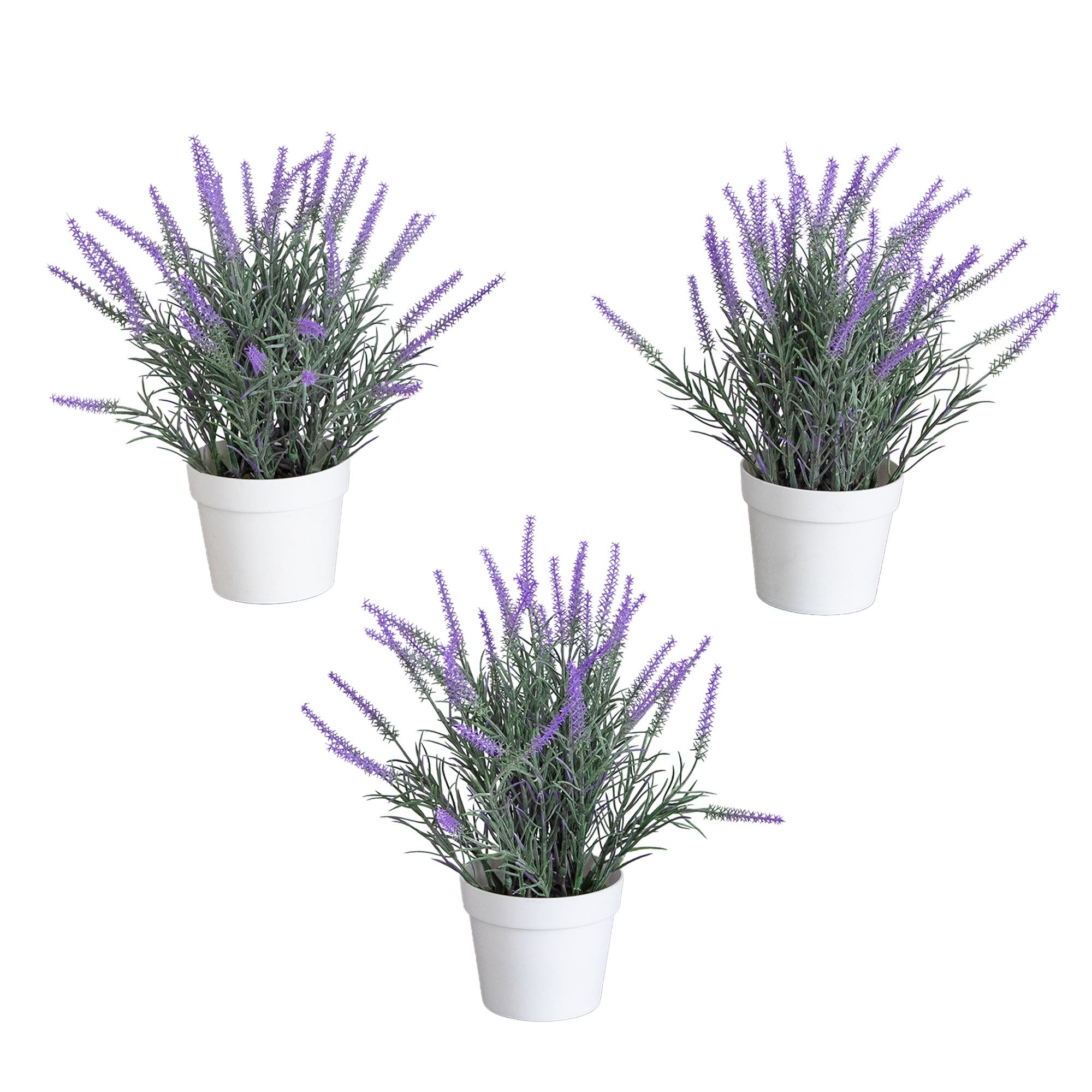 selected Purple
