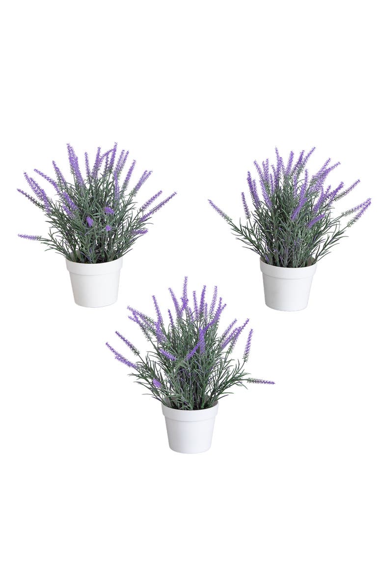 11-in Artificial Lavender Plant in White Pot - Set of 3, Main, color, Purple