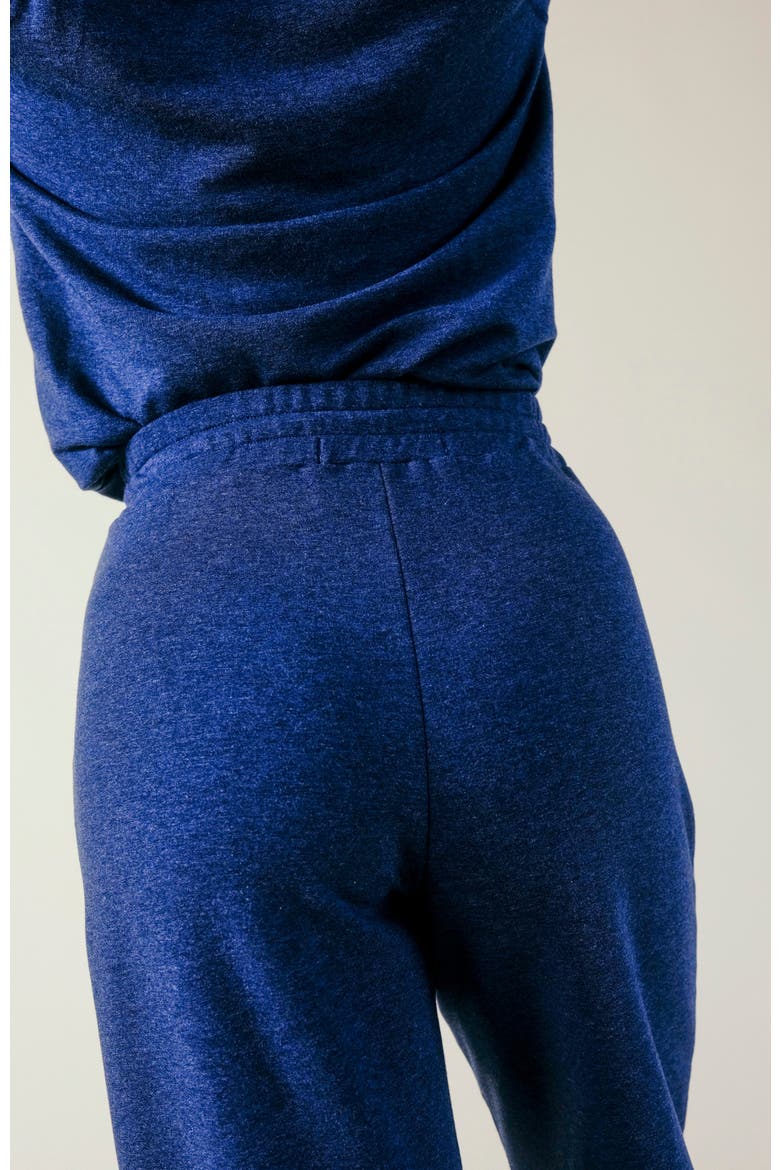 PLUS Betty Organic Cotton + Tencel Wide Leg Pant, Alternate, color, Heather Lake