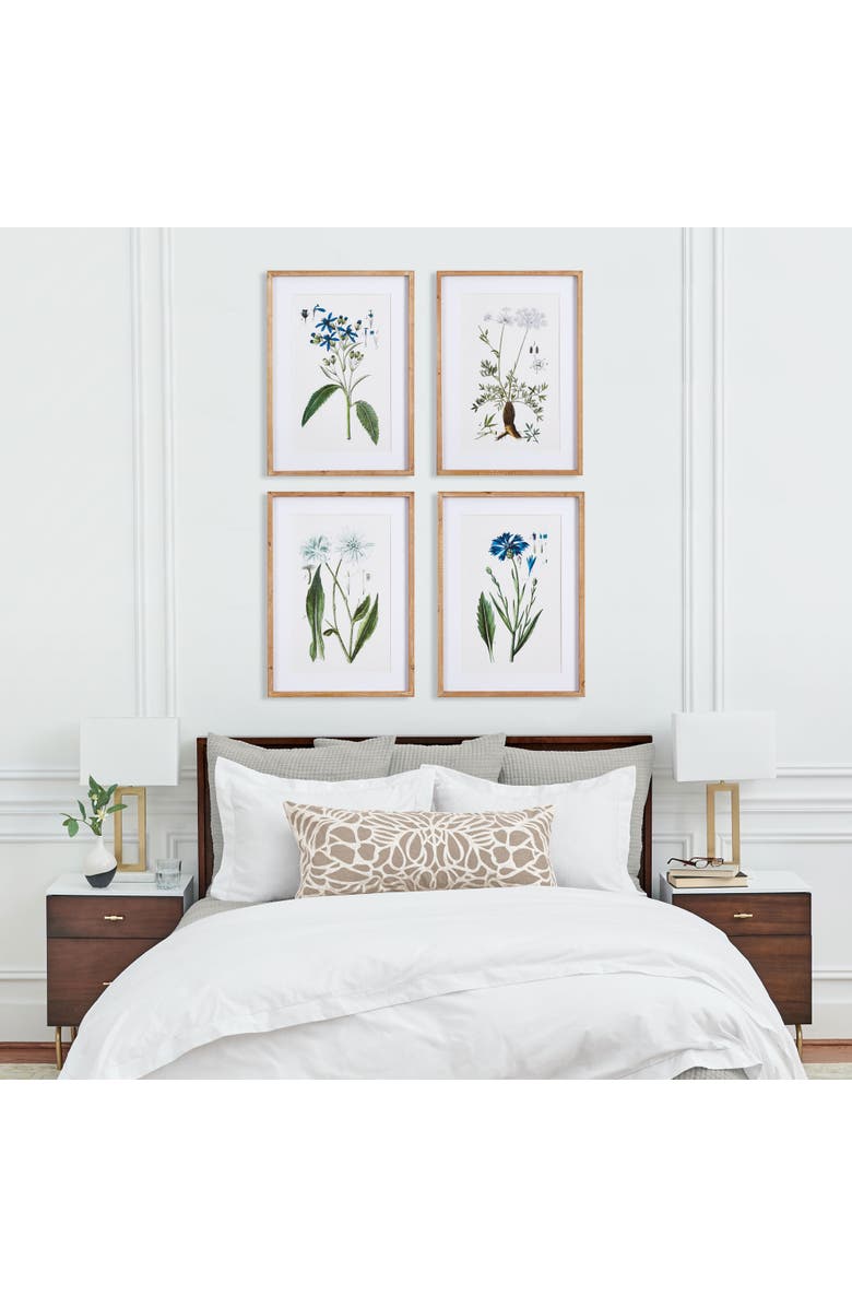 Napa Home & Garden Mountain Botanical Prints Set of 4, Alternate, color, 