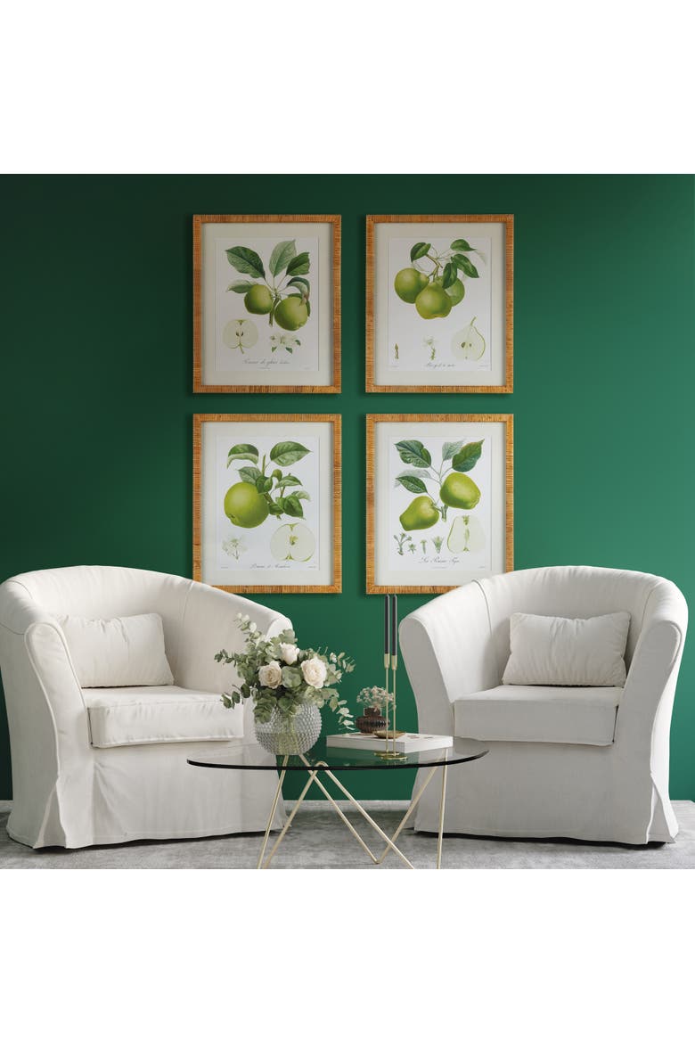 Fruit Study Set of 4, Alternate, color, Green