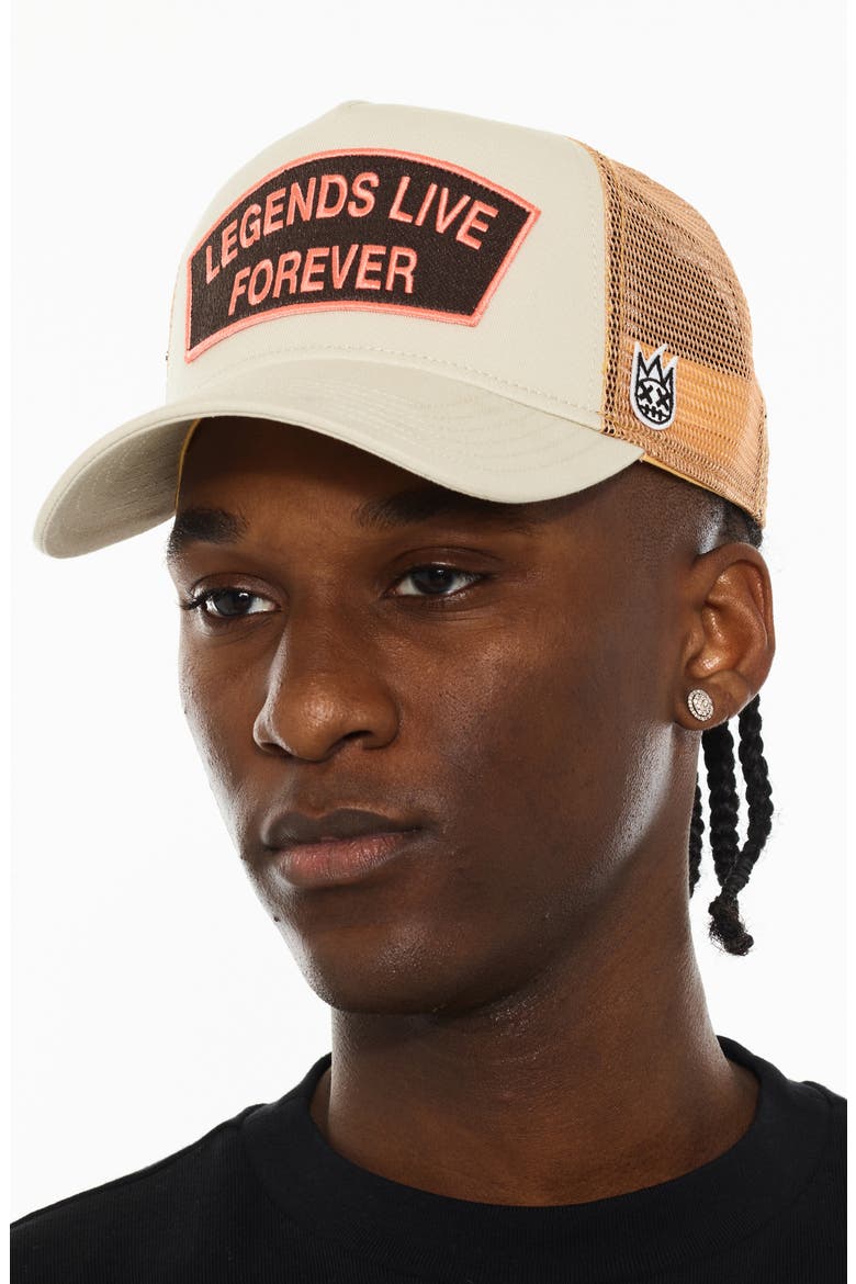Legends Mesh Back Trucker Hat, Alternate, color, WHITE SWAN