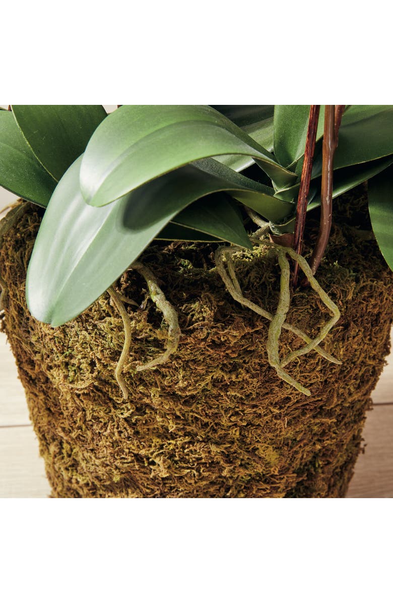 Napa Home & Garden Phalaenopsis Orchid Faux (Fake) Drop-In 36", Alternate, color, White