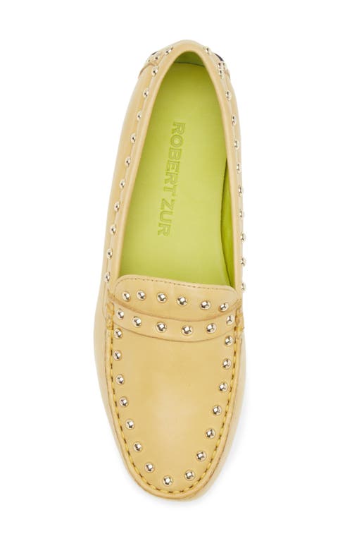 Robert Zur Dittany Studded Driving Loafer