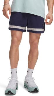 Under Armour Icon Terry Cloth Shorts