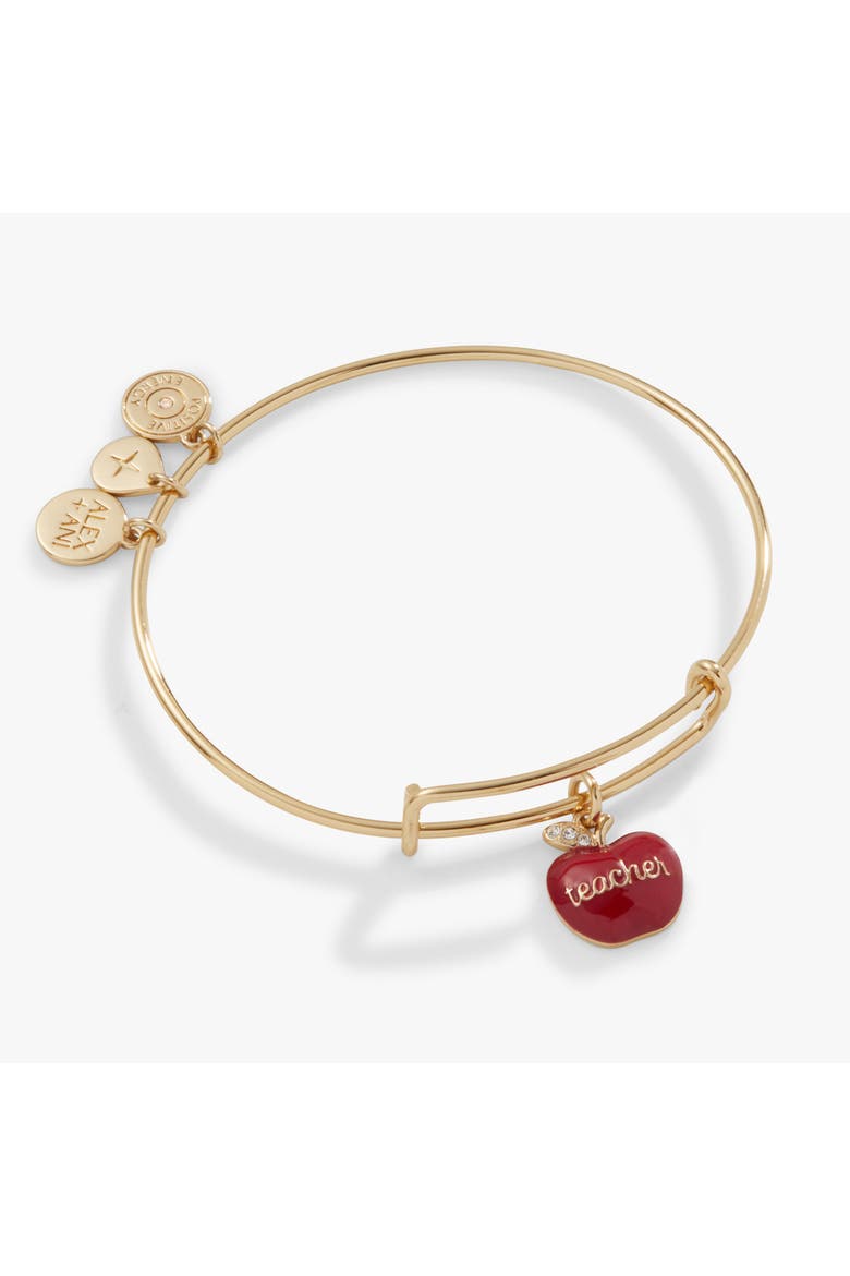 Teacher 'Grow, Inspire, Love' Apple Charm Bangle, Main, color, Silver 