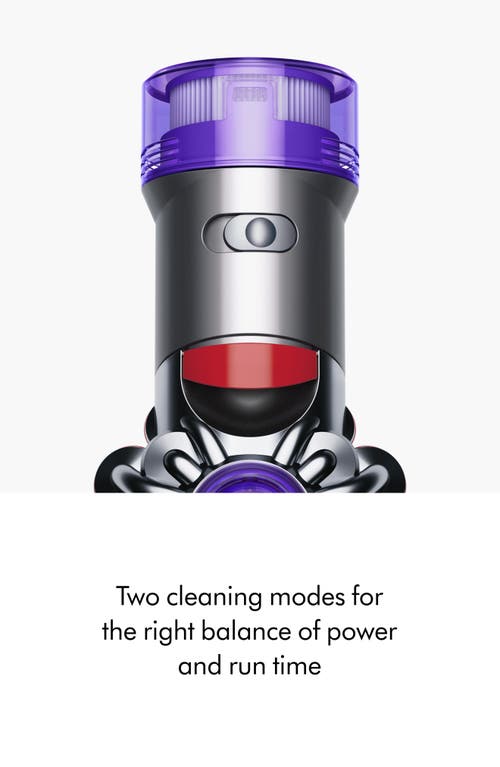 Dyson V8 Animal Extra Vacuum- Silver/purple In Multi