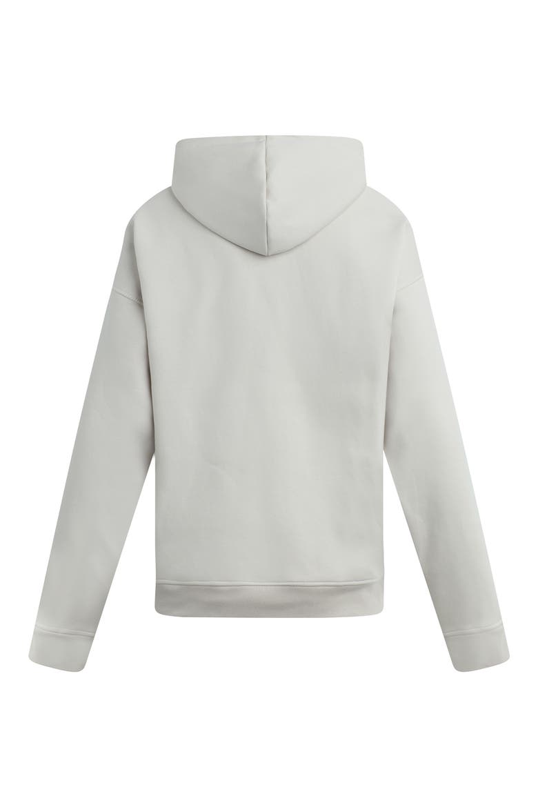 Graphic Hoodie, Alternate, color, PUMICE/ COBALT