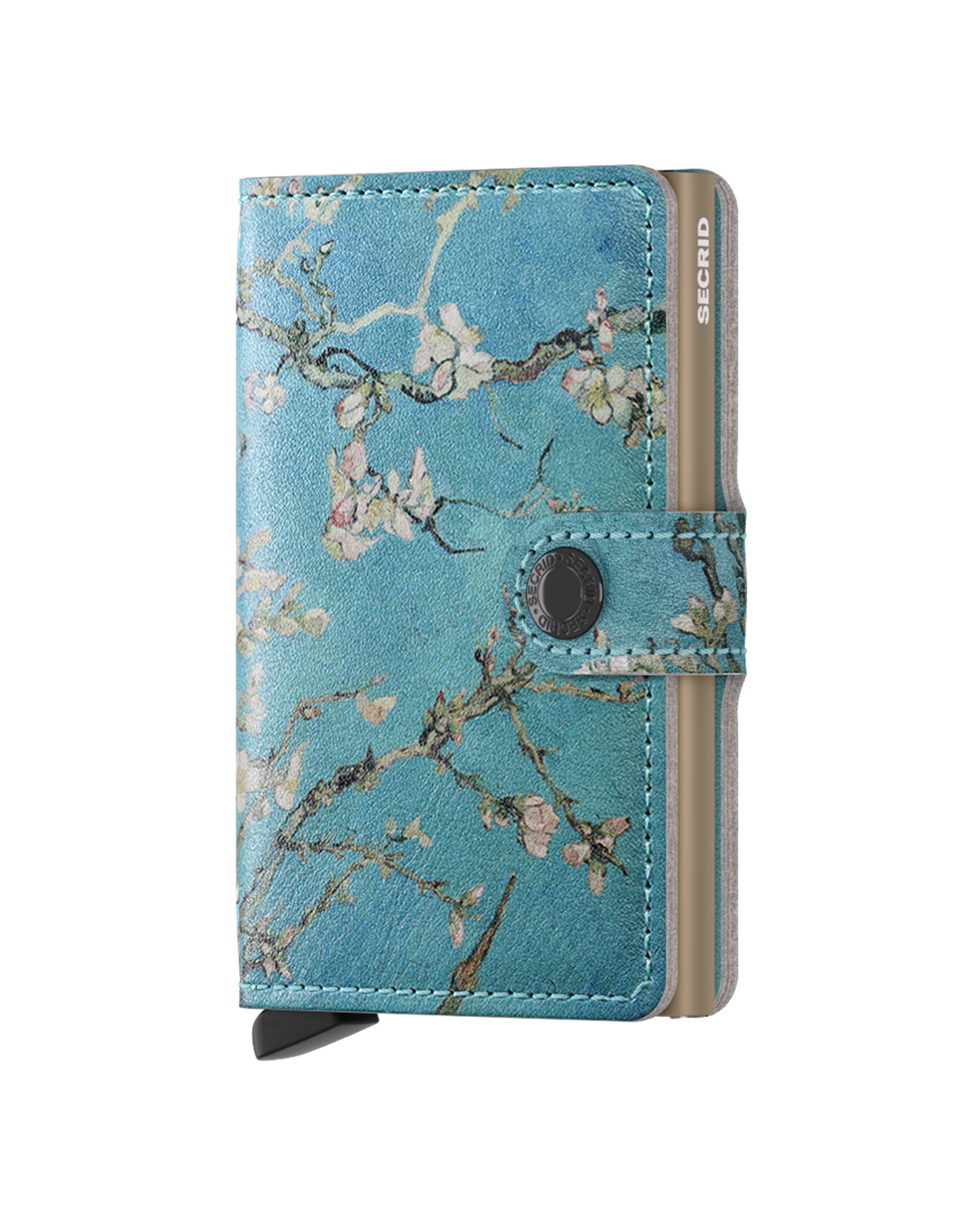 Almond Blossom