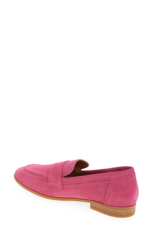 Cordani Ardelle Moc Toe Loafer In Fuschia Suede