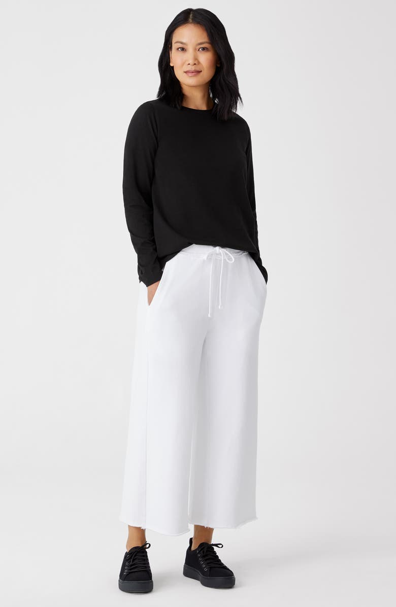 Eileen Fisher Organic Cotton Long Sleeve Funnel Neck T-Shirt, Alternate, color, 