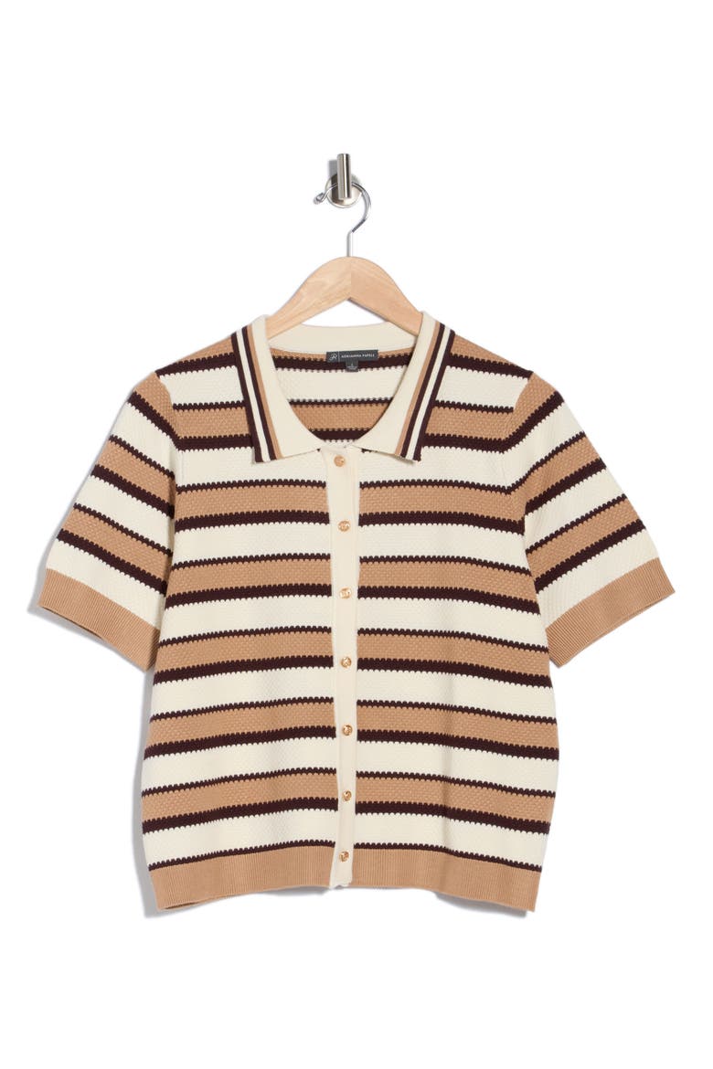 Stripe Polo Sweater, Alternate, color, CHOCOLATE COMBO