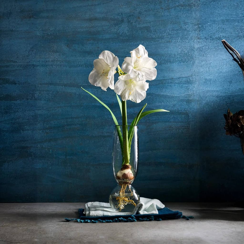 The Collective Pebbled Bulb Vase In Clear