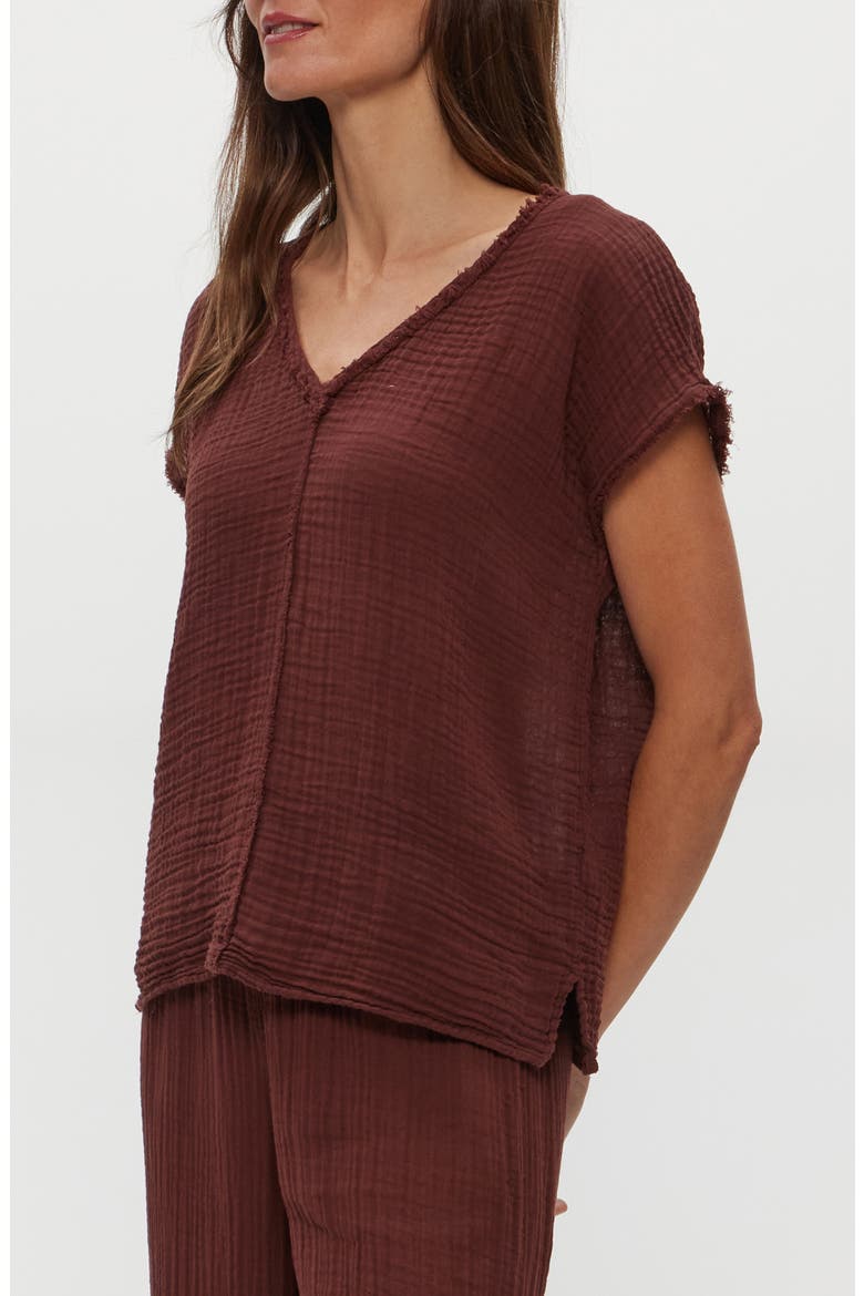 Draya V-Neck T-Shirt, Alternate, color, ESPRESSO