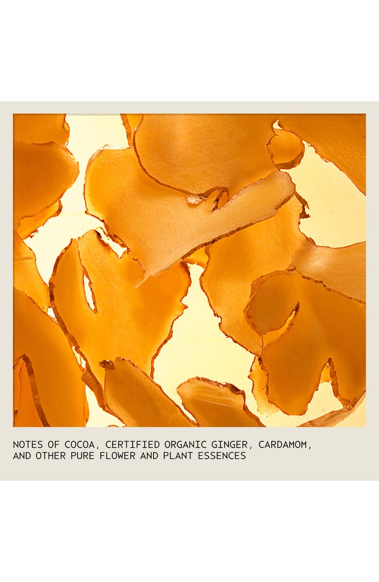 Aveda nutriplenish<sup>™</sup> Deep Moisture Shampoo, Alternate, color, 