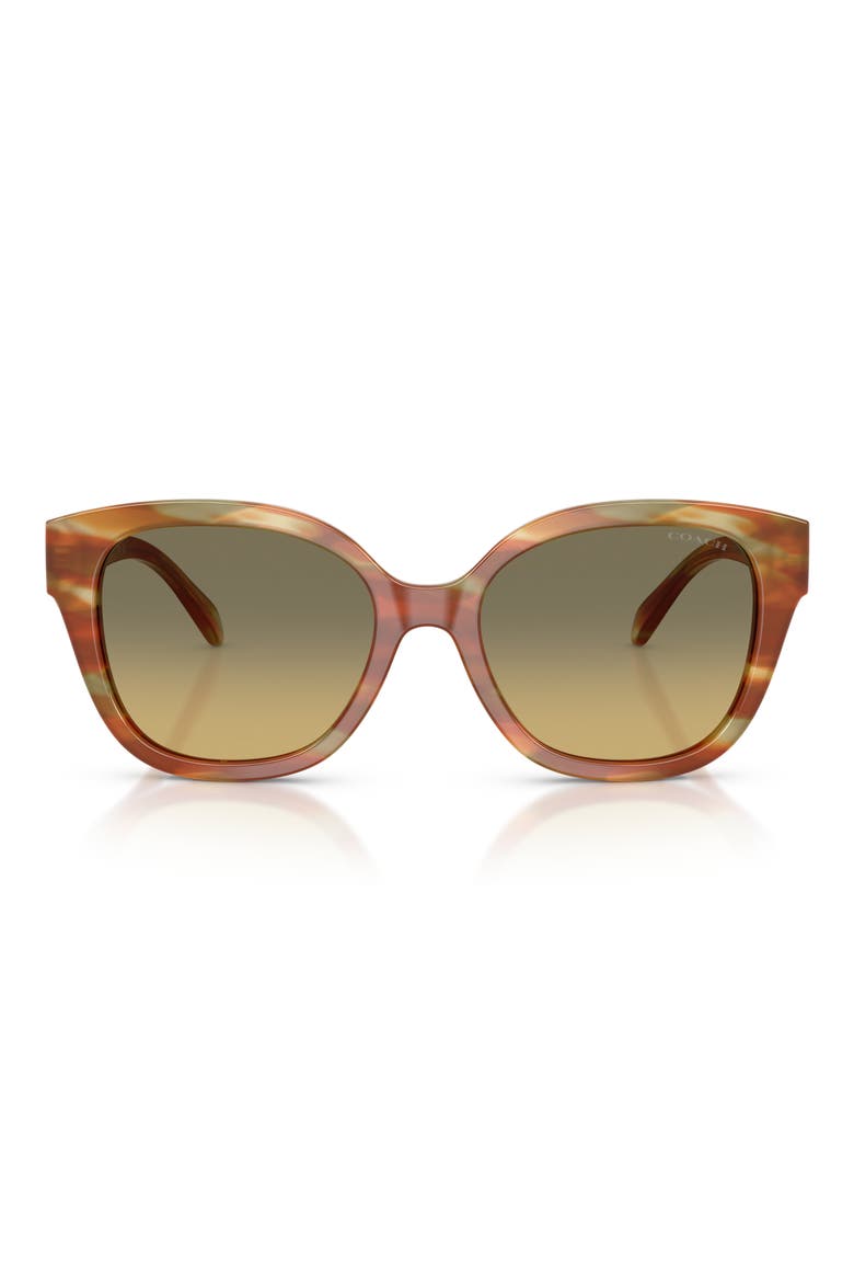 56mm Gradient Square Sunglasses, Main, color, STRIATED BARK / MOSS / GREEN