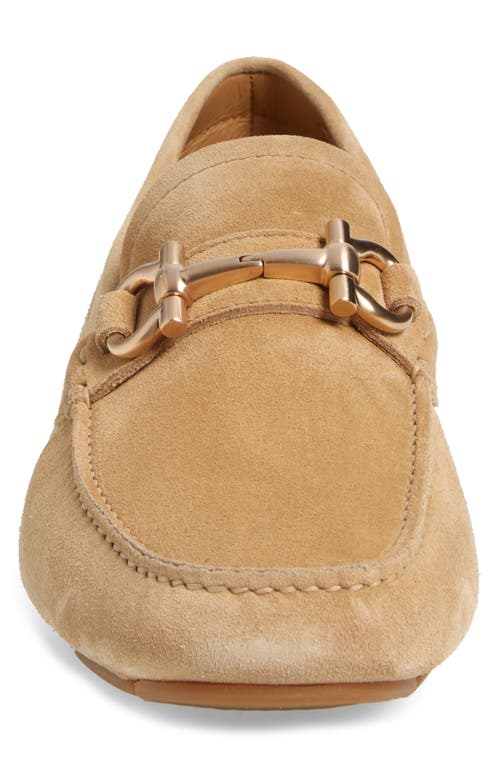 Shop Ferragamo Parigi New Bit Driving Loafer In Dune New Biscotto