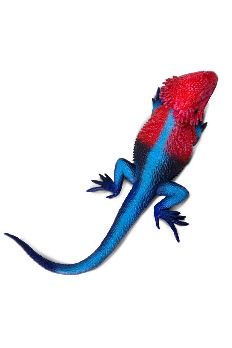 Mwanza Flat-Headed Rock Agama Toy, Alternate, color, No Color