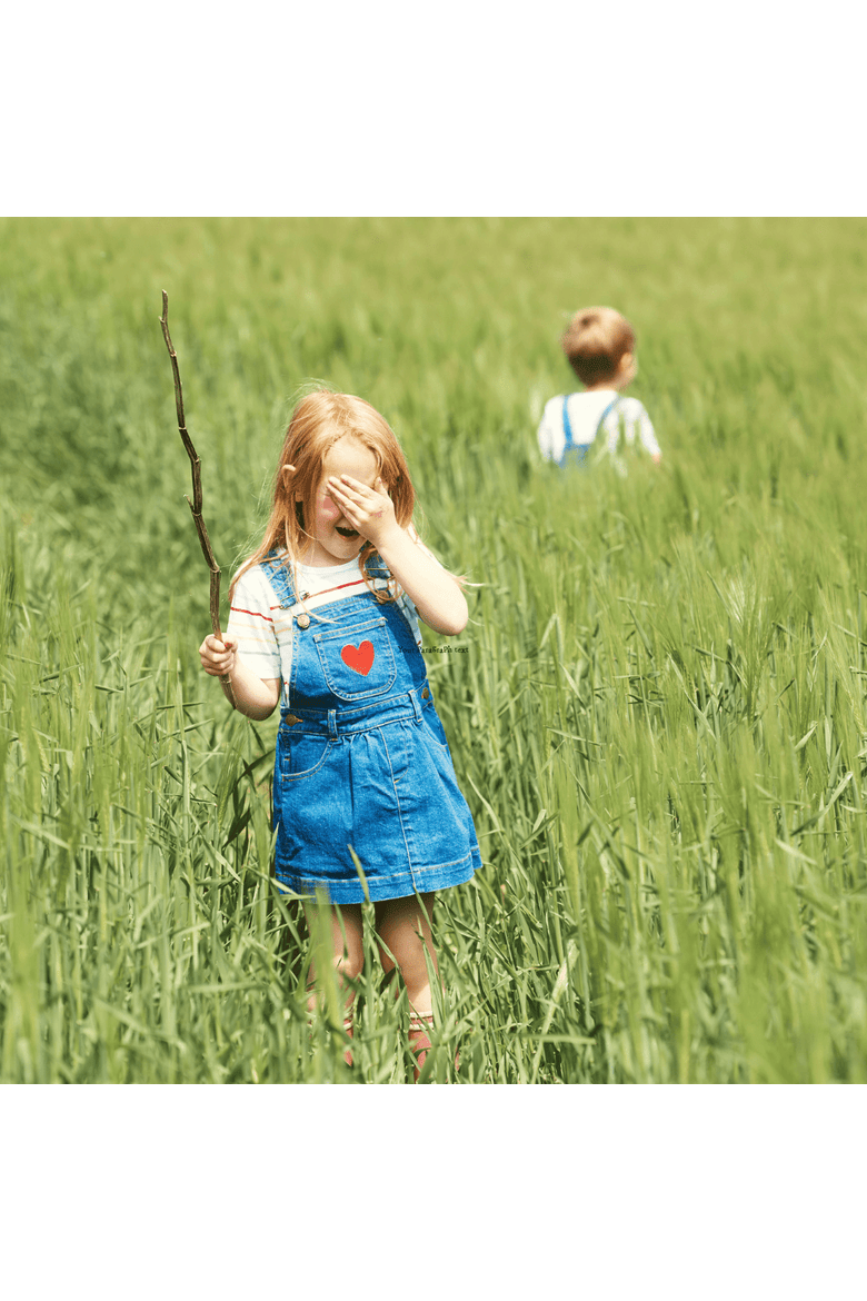 Denim Overall Dress, Alternate, color, Love Print
