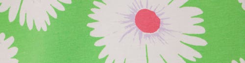 The Cat's Pajamas Pima Knit Nightgown In Green