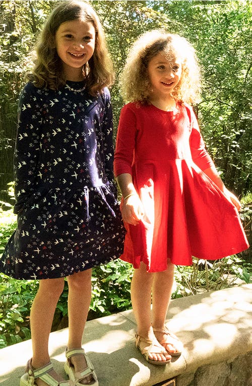 Mightly Organic Cotton Long Sleeve Drop Waist Tier Dress In Migrating Birds
