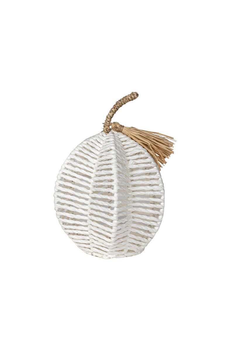 Foreside Home and Garden Decorative White Woven Rope Pumpkin on Metal Frame, Main, color, White