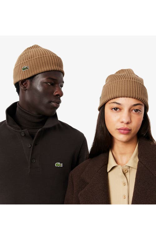 Lacoste Wool Cuff Beanie In Brown