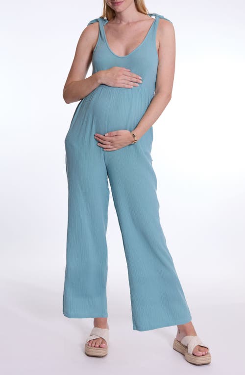 Cache Coeur Canyon Maternity And Nursing Jumpsuit In Blue