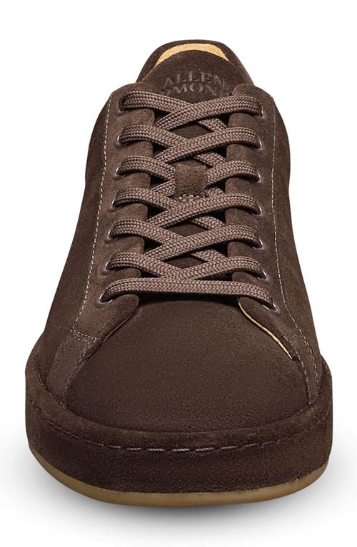 Allen Edmonds Barnes Low Top Sneaker In Brown