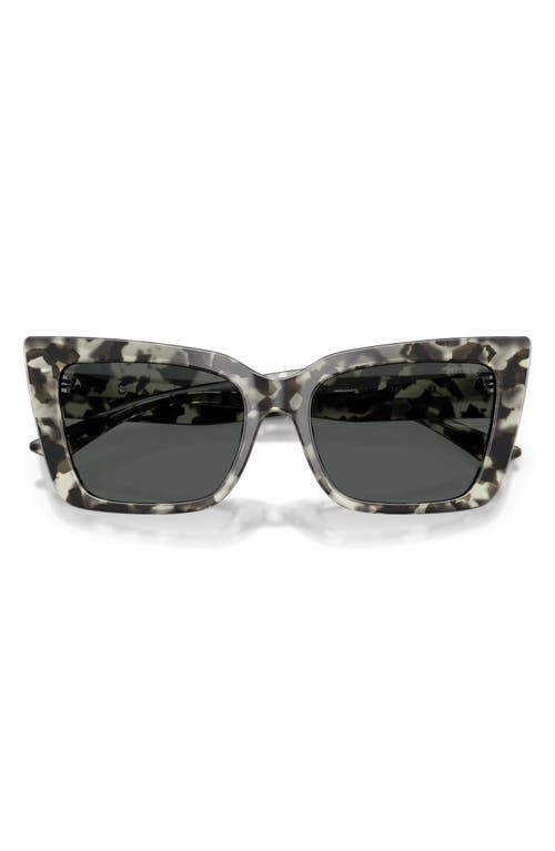 Jimmy Choo 54mm Butterfly Sunglasses