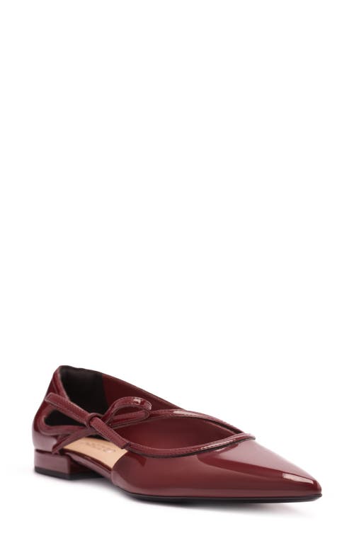 Arezzo Tessa Pointed Toe Flat In Burgundy