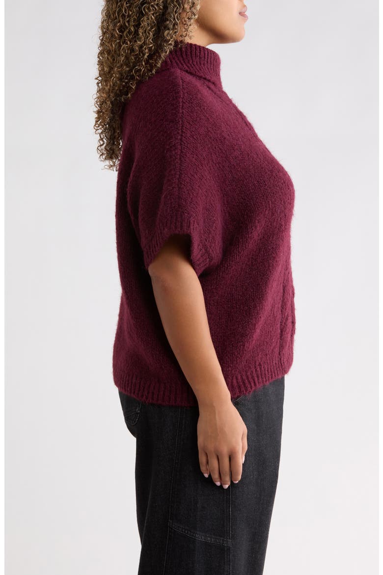 Dolman Sleeve Turtleneck Sweater, Alternate, color, WINE
