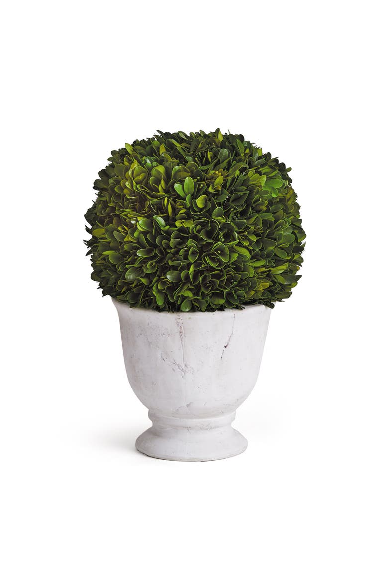Boxwood Ball Topiary In Pot Large, Main, color, Green