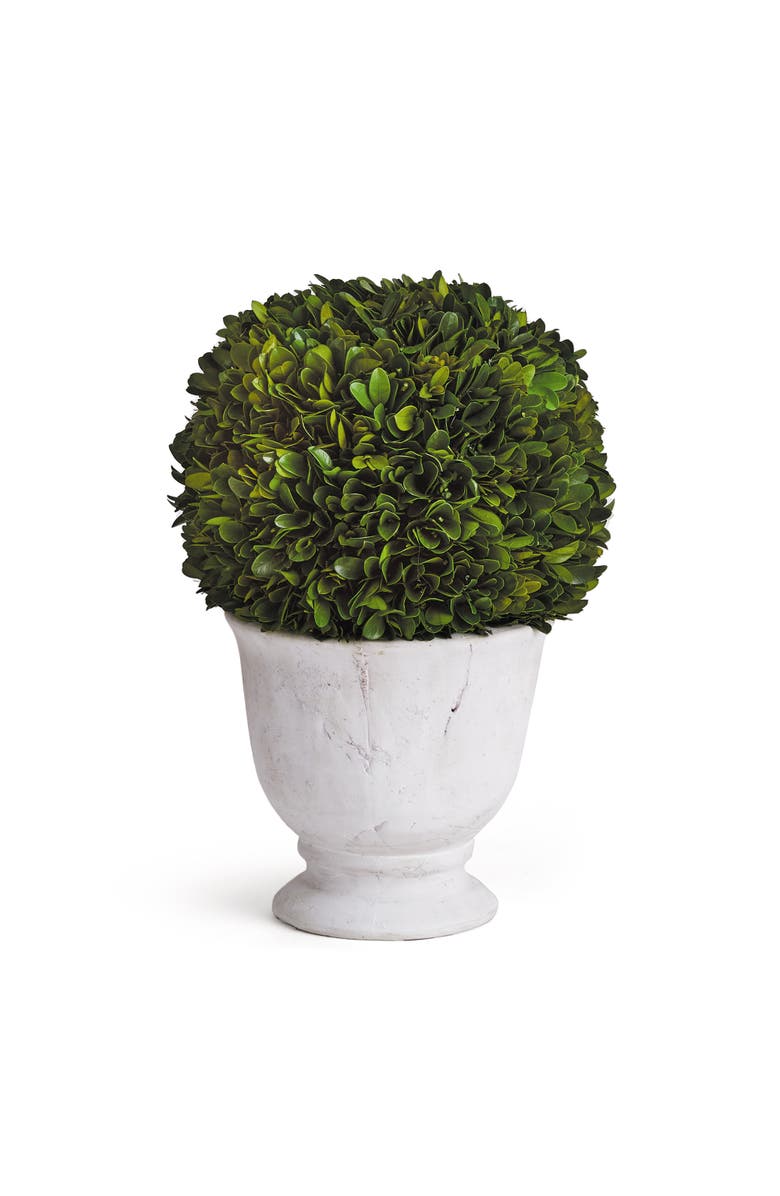 Napa Home & Garden Boxwood Ball Topiary In Pot Large, Main, color, Green