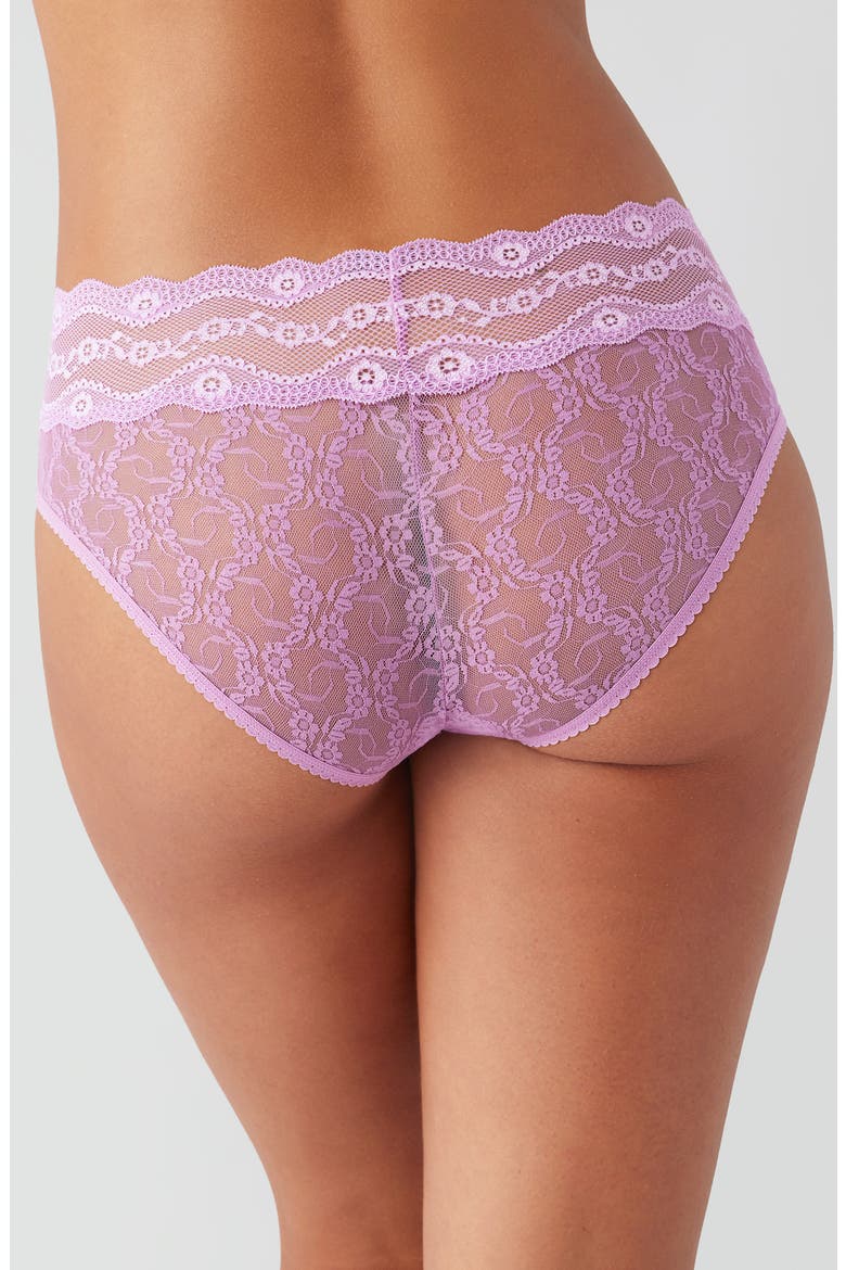 'Lace Kiss' Hipster Briefs, Alternate, color, SMOKY GRAPE