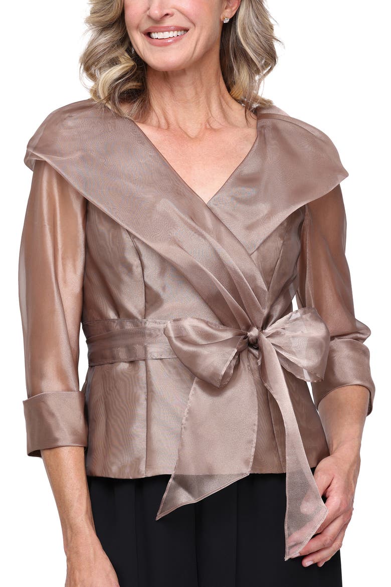 Shawl Collar Organza Top, Main, color, BRONZE