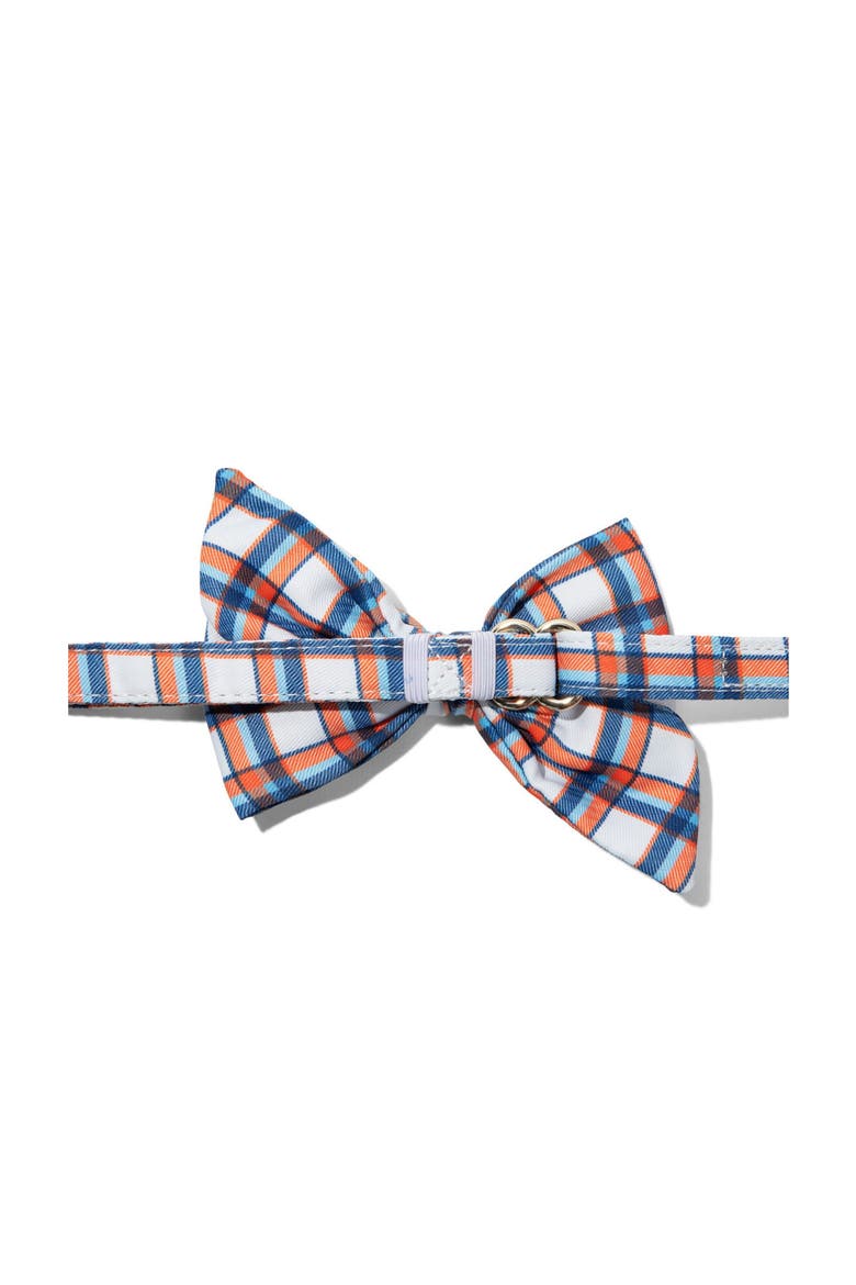 Ringo Babe Bow, Alternate, color, Ringo