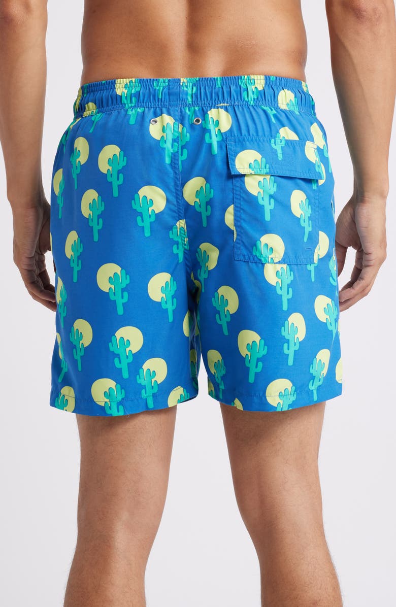 Tom & Teddy Cactus Swim Trunks, Alternate, color, Blue & Green