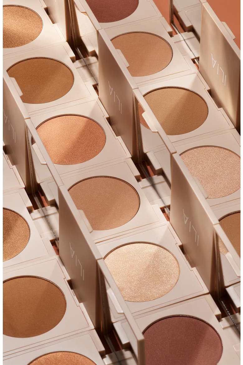 DayLite Highlight Powder, Alternate, color, FAME
