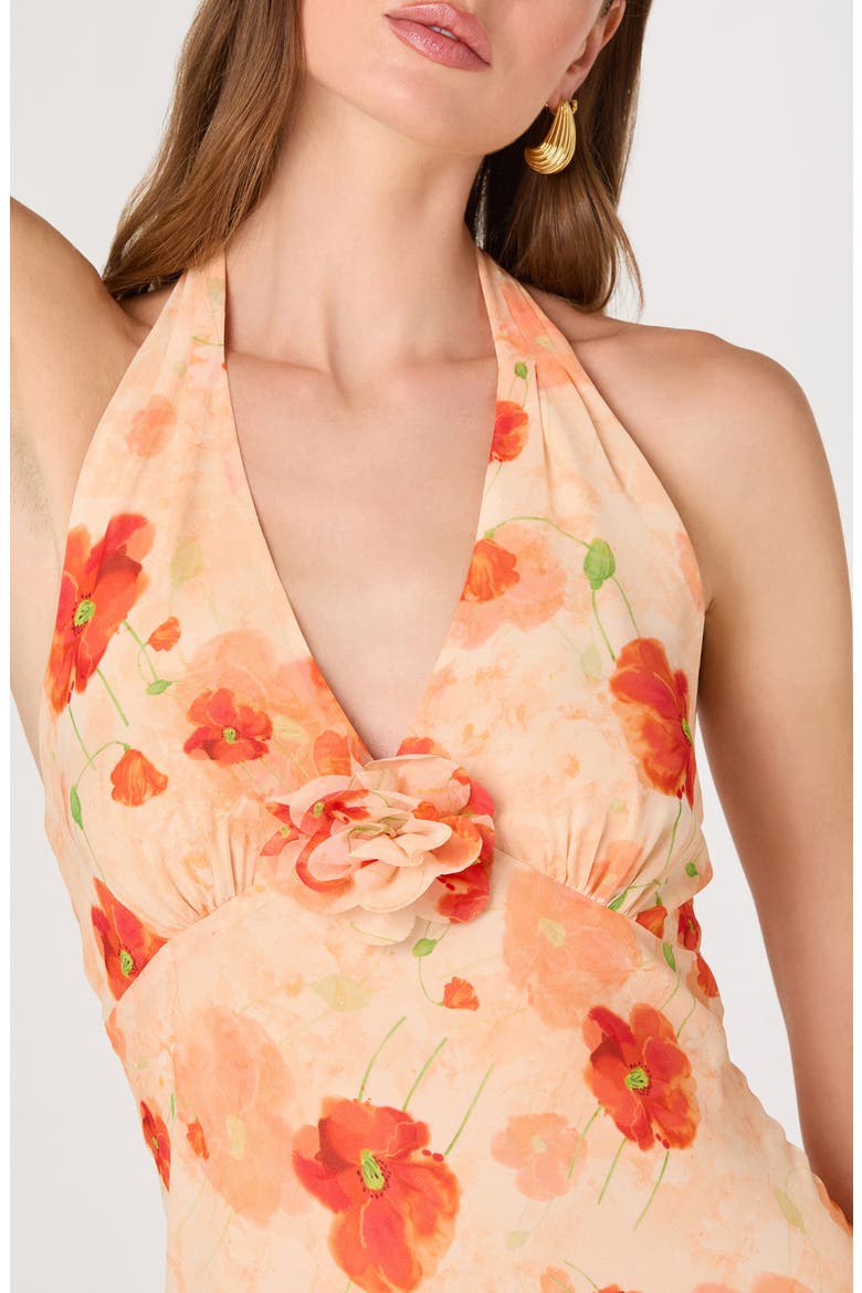 Yasmen Floral Plunge Halter Neck Maxi Dress, Alternate, color, ORANGE FLORAL