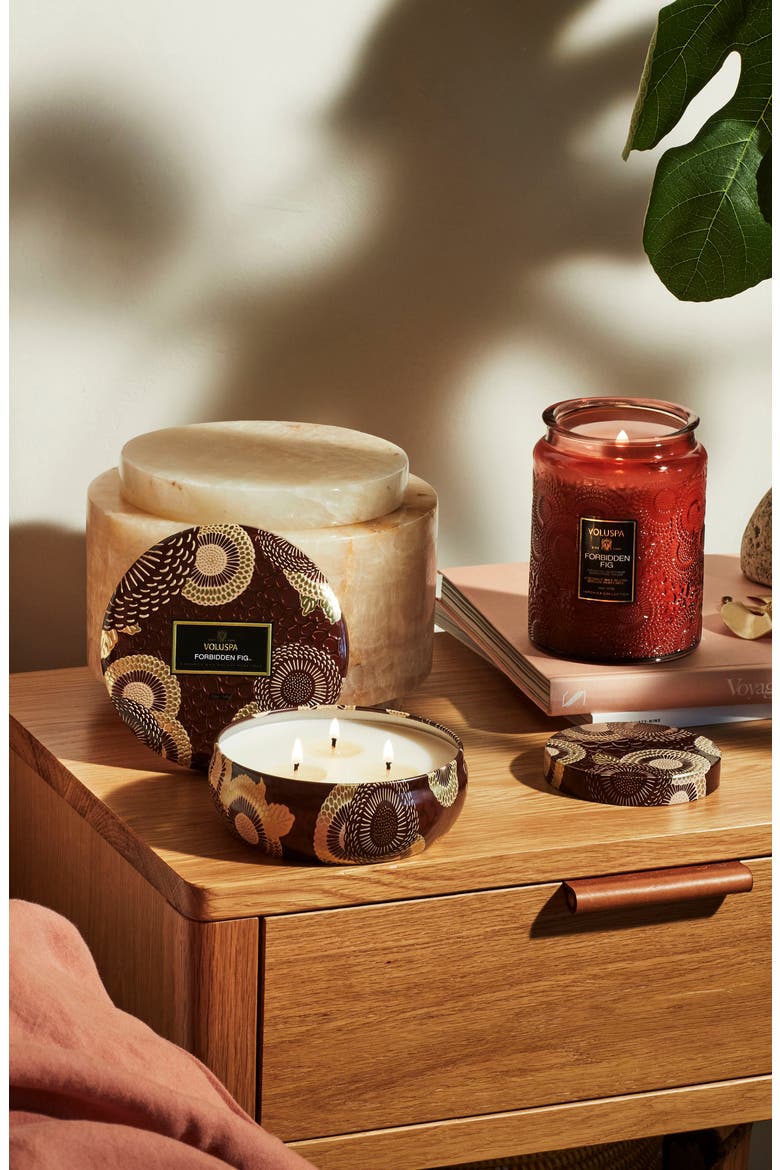 Forbidden Fig Large Jar Candle, Alternate, color, FORBIDDEN FIG