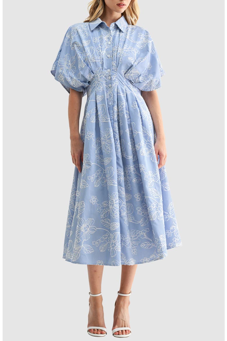 Embroidered Stripe Midi Shirtdress, Main, color, BLUE WHITE